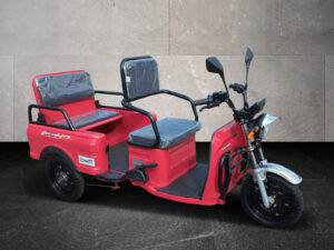 Seitenansicht der roten Cargo Runner Rikscha mit zwei Sitzplätzen