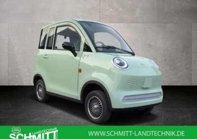 Cargo Runner Passenger 2-Sitzer Microcar in Mintgrün