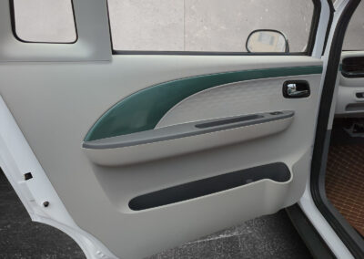 Türverkleidung des Passenger Cabin mit integriertem Griff und Ablagefach