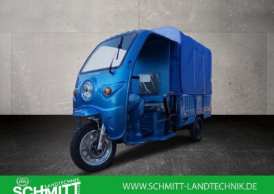 Cargo Runner Big in Metallic Blau