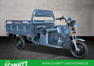 Cargo Runner Classic grau vordere Seitenansicht