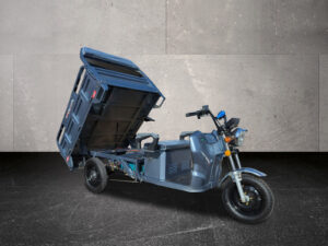 Cargo Runner Classic grau Seitenansicht gekippte Ladefläche