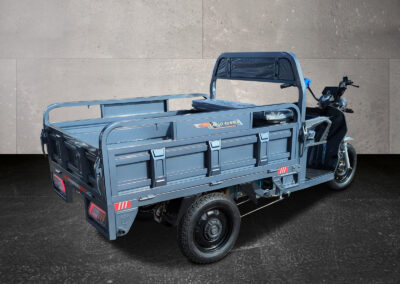 Cargo Runner Classic grau seitliche Rückansicht