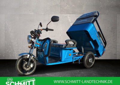 Cargo Runner Compact in der Farbe Blau