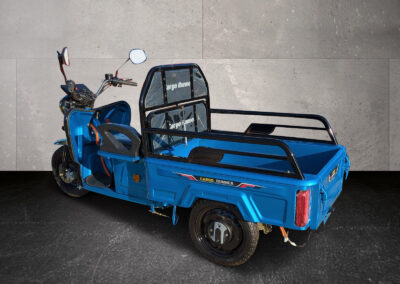 Seitliche Rückansicht des Cargo Runner Compact blau