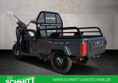 Seitliche Ansicht des Cargo Runner Compact in Grau