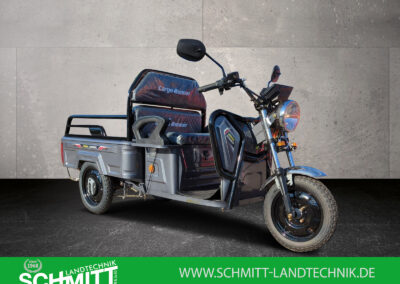 Cargo Runner Compact in Grau – Produktbild des E-Lastenrads