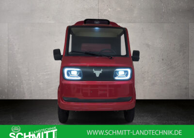 Frontansicht des Cargo Runner Toro mit sichtbaren Frontscheinwerfern