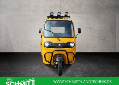 Frontalansicht des Voltina in Gelb