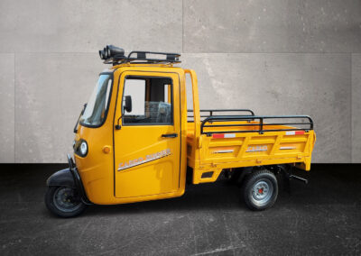 Seitenansicht des Voltina in Gelb mit geschlossener Pritsche und Dachträger