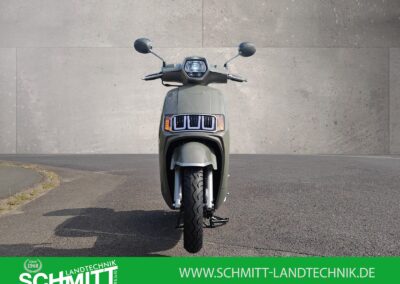 Motorroller 125 Classic in Grün