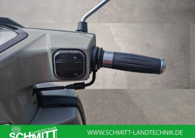 Motorroller 125 Classic in Grün